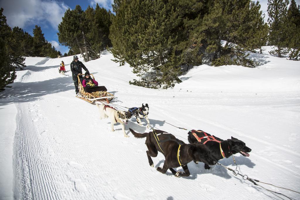 Vitivola Pleta Peu Del Riu Incles Appartement Canillo Buitenkant foto